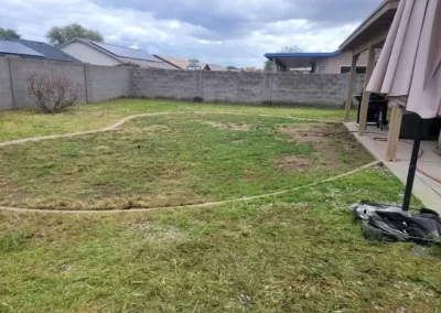 Affordable Landscaping Service Provider