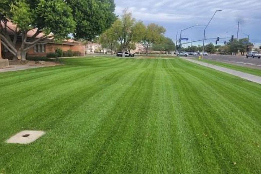 Landscaping