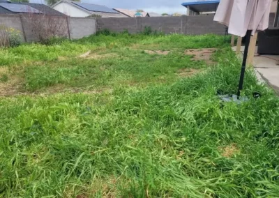 Preferred Landscaping Service Provider