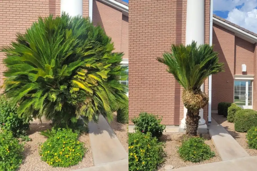 Trimming