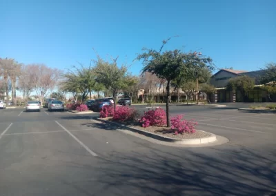 Commercial Landscaping Company and Paver Services
