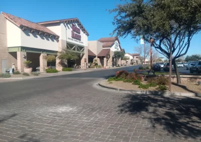 Commercial Landscaping Services and Paver Services