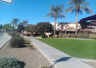 Experienced Landscaping and Paver Services