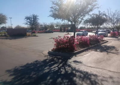 Quality Landscaping and Paver Services