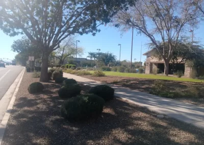 Skilled Landscaping and Paver Services