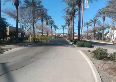 Superb Landscaping and Paver Services