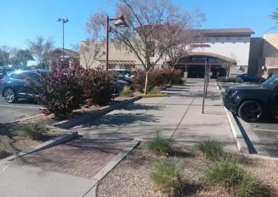 Top-notch Landscaping and Paver Services
