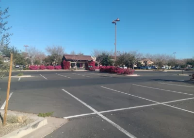 Trustworthy Landscaping and Paver Services